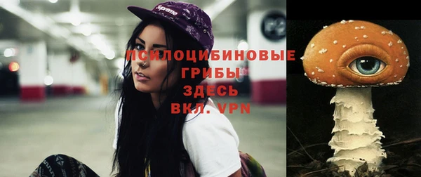 прущие крисы Армянск