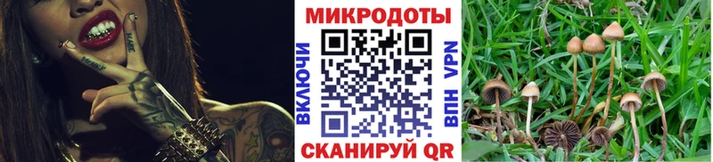 как найти наркотики MEGA ссылка Псилоцибиновые грибы мицелий Пугачёв